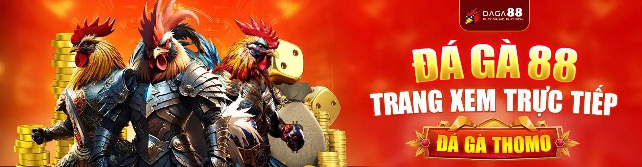 Lịch Trình Trực Tiếp Đá Gà Thomo 999 Hôm Nay